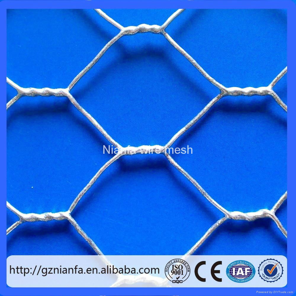 Guangzhou Factory Hexagonal Chicken Wire mesh 5