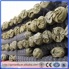 Galvanized/PVC coated Chain Link Mesh(Guangzhou Factory)