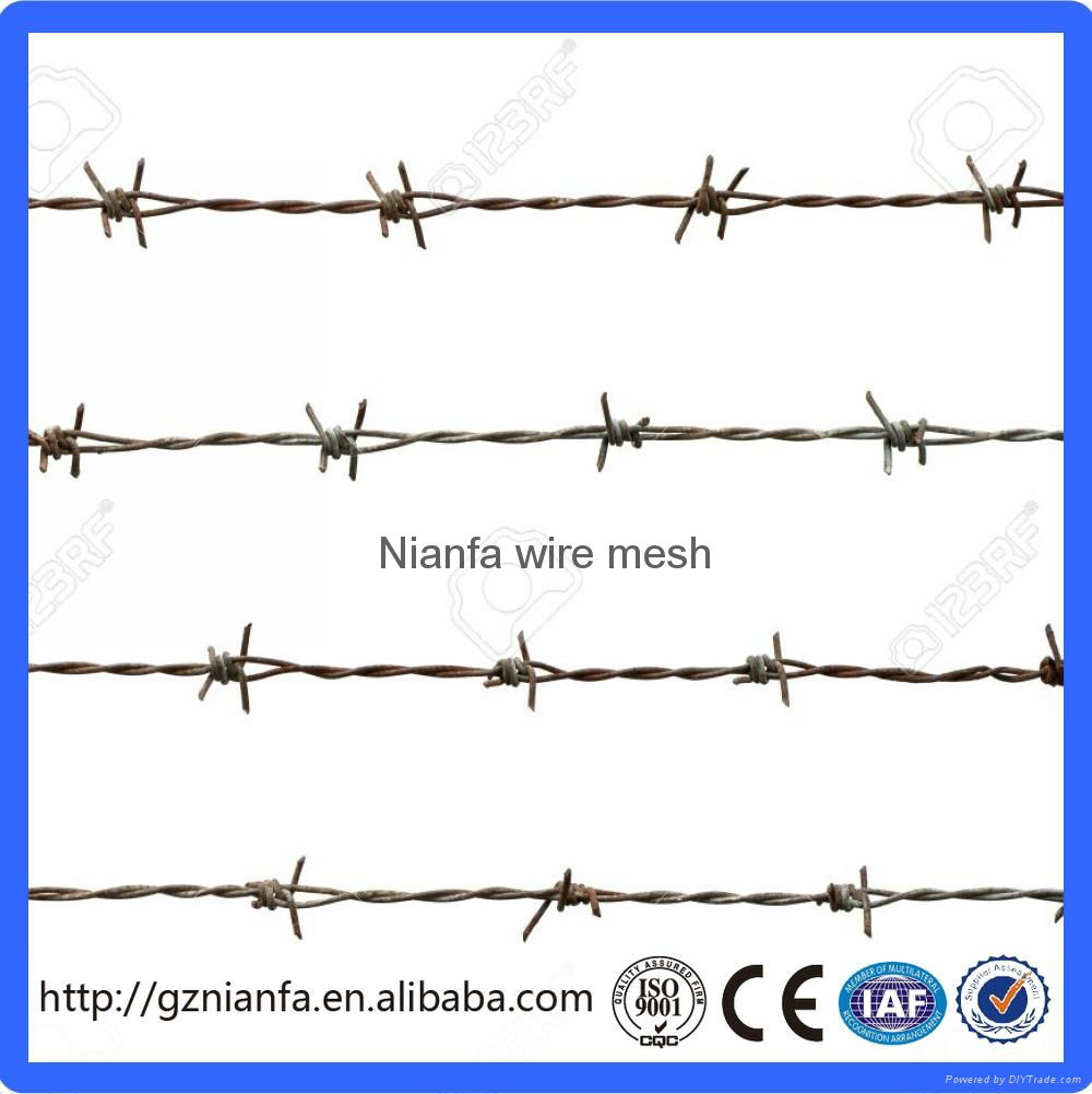 BWG14x14 or BWG16x16 electric hot dipped barbed wire(Guangzhou Factory)