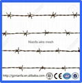 BWG14x14 or BWG16x16 electric hot dipped barbed wire(Guangzhou Factory)