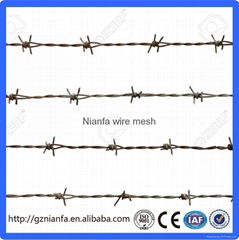 BWG14x14 or BWG16x16 electric hot dipped barbed wire(Guangzhou Factory)