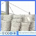 BWG14x14 or BWG16x16 electric hot dipped barbed wire(Guangzhou Factory) 2