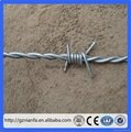 BWG14x14 or BWG16x16 electric hot dipped barbed wire(Guangzhou Factory) 3