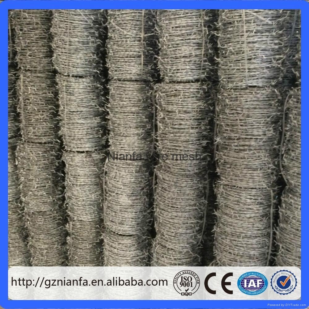 BWG14x14 or BWG16x16 electric hot dipped barbed wire(Guangzhou Factory) 4