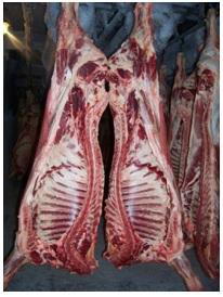 MEAT - VIANDE