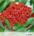 Goji Berries 1