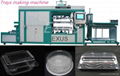 plastic cake tray cup lids vacuum forming machine from manufacturer