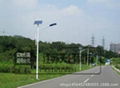 Solar Energy Streetlight