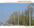 Wind-Solar Hybrid Streetlight for Beautiful Countries 1