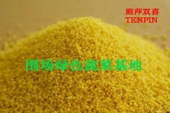 WEICHANG Millet