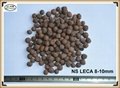 Lightweight Expanded Clay as growing medium for Hydroponics 2