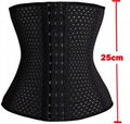 Cheap waist trimming corsets wholesale 5