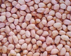 China peanut with red skin for sale