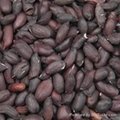 offer hand picked and selected black peanut kernel  rich in selenium from China