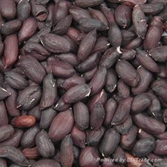 offer hand picked and selected black peanut kernel  rich in selenium from China