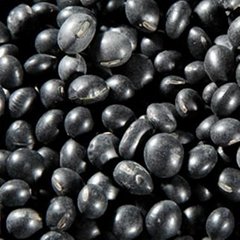 Quality Black Soybean 