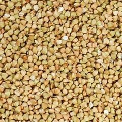 China Quality Buckwheat Hulled Wholesale