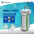 Cryo lipo fat freezing body treatment cryolipolysis slimmin 2