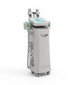 CE/FDA approved  safety sculpting fat freezing cryolipolysis slimming mahcine 1