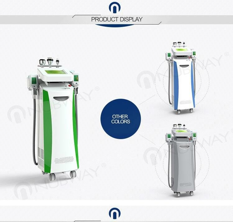 Factory Price Beauty Equipment Cryolipolysis Weight Loss Body Shaping Machine Fo 2