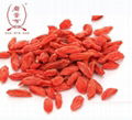 GOJI BERRY 2