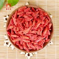 GOJI BERRY 3