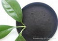 50%humic acid powder granular from china factory with good quality best price  1