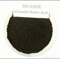 25%humic acid powder granular from china factory with good quality best price  2