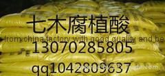 45%humic acid powder granular from china factory with good quality best price 