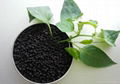 45%humic acid powder granular from china