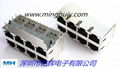 厂家供应2X2 RJ45网络连接器 5