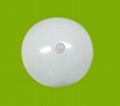Emergency light 5