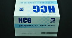 HCG Pregnancy Test