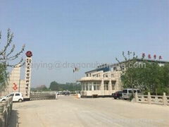 Shandong Yanggu Dragon New Material Co., Ltd