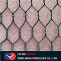 Riverbank reinforced Gabion mesh/gabion box