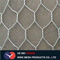 Riverbank reinforced Gabion mesh/gabion box 2