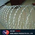 Galvanized Razor Barbed Wire 2