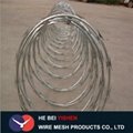Galvanized Razor Barbed Wire 4