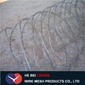 Security fence razor barbed wire combat