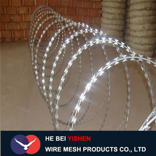 Security fence razor barbed wire combat wire 3