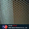 High quality Competitive Price hexagonal wire mesh