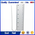 ground staple/ U nail sharp bottom to fence tent 1
