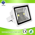 Outdoor IP65 100 Watts Floodlights 1