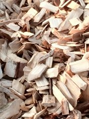 WOOD CHIPS Biomass Fuel