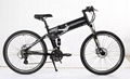 Folding E-bike