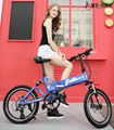 Folding E-bike 1