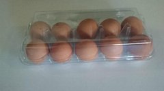 10 pcs egg tray