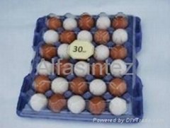 30 pcs Plastic Egg Tray (down and top)