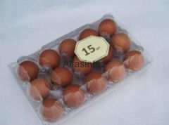 15 pcs Plastic Egg Tray