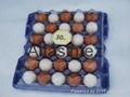 30 pcs Plastic Egg Tray (only down)